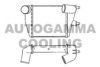 ALFA 162060803503 Intercooler, charger